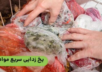 یخ زدایی سریع مواد غذایی