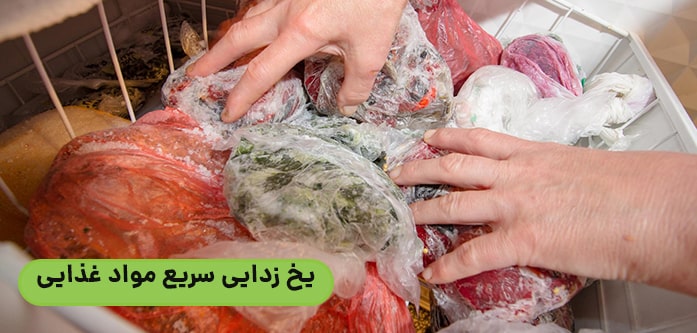 یخ زدایی سریع مواد غذایی